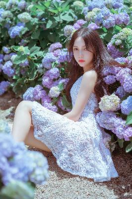 人狗大战2高清正版免费